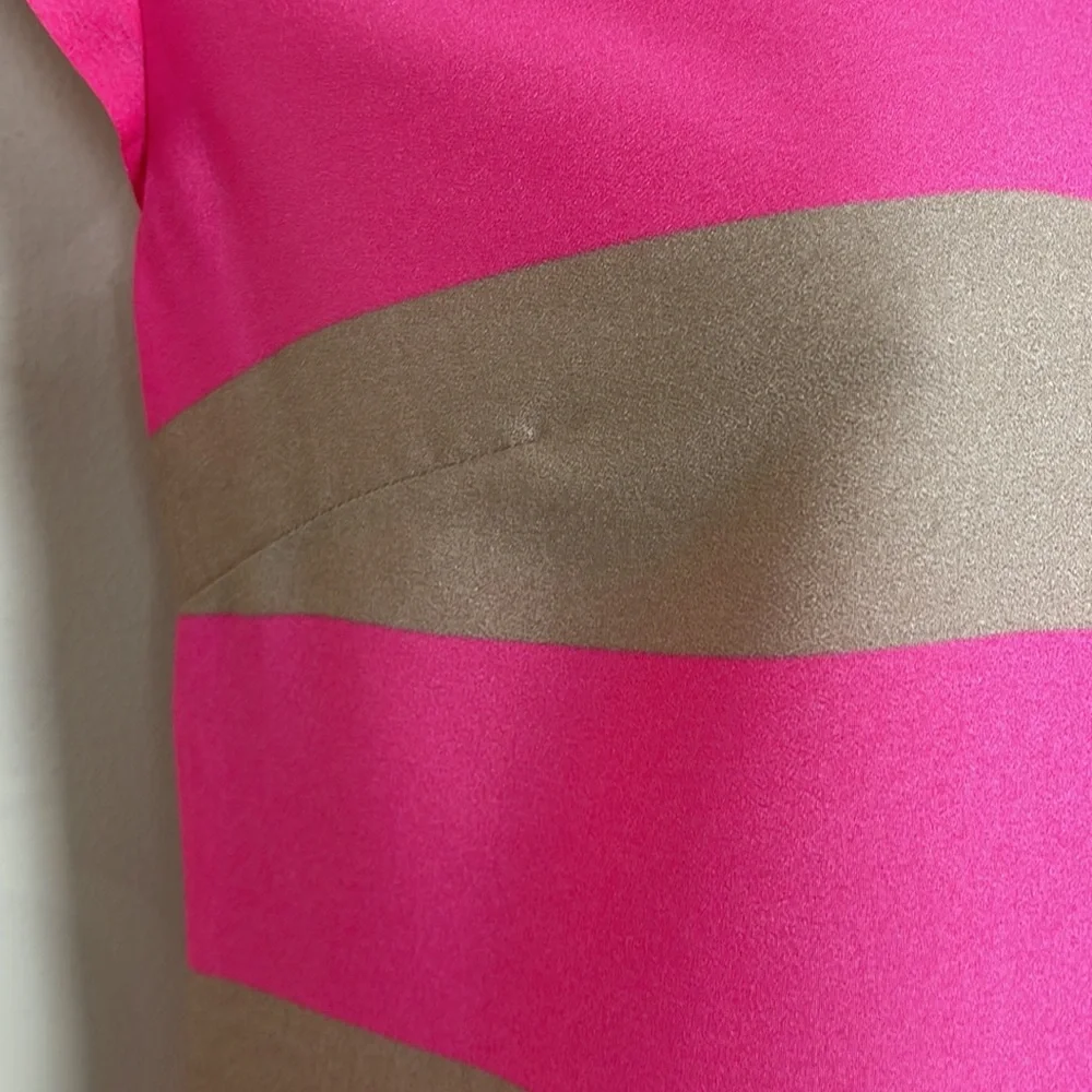 THE LIMITED PINK & TAN STRIPED TOP - Picture 4 of 8